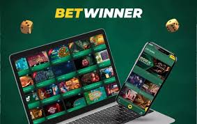 Betwinner Your Gateway to Online Betting Success
